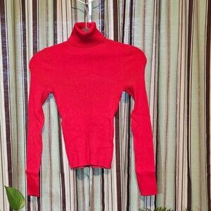 Red turtle Neck top